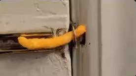 Weak Password written in HTML