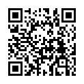 QR code linking to https://blog.vinfall.com/posts/2024/06/void-vtoyboot/