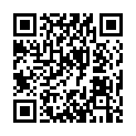 QR code linking to https://blog.vinfall.com/posts/2023/11/hltb/