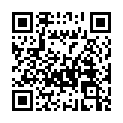 QR code linking to https://blog.vinfall.com/posts/2024/04/rom/
