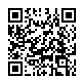 QR code linking to https://blog.vinfall.com/posts/2025/05/game-stats-202504/