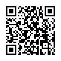 QR code linking to https://blog.vinfall.com/posts/2024/11/rom-update/