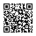 QR code linking to https://blog.vinfall.com/posts/2026/09/hacking-pragtical/