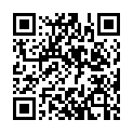 QR code linking to https://blog.vinfall.com/posts/2020/09/hoaxos/