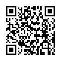 QR code linking to https://blog.vinfall.com/posts/2024/03/vscodium-api2d/