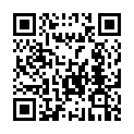 QR code linking to https://blog.vinfall.com/posts/2025/03/flash/