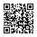 QR code linking to https://blog.vinfall.com/posts/2025/02/game-tracking/