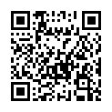 QR code linking to https://blog.vinfall.com/posts/2022/05/996/