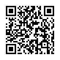 QR code linking to https://blog.vinfall.com/posts/2022/09/3ds-homebrew/