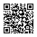 QR code linking to https://blog.vinfall.com/posts/2025/04/mise-as-linter/