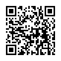 QR code linking to https://blog.vinfall.com/posts/2022/11/void-packages/
