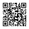 QR code linking to https://blog.vinfall.com/posts/2025/01/2024-recap-game/