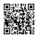 QR code linking to https://blog.vinfall.com/posts/2026/09/pragtical-plugins/