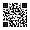 QR code linking to https://blog.vinfall.com/posts/2024/08/useless-plugin/