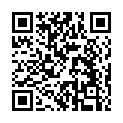 QR code linking to https://blog.vinfall.com/posts/2022/11/wii-homebrew/