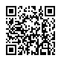 QR code linking to https://blog.vinfall.com/posts/2024/06/libvirt-chap4/